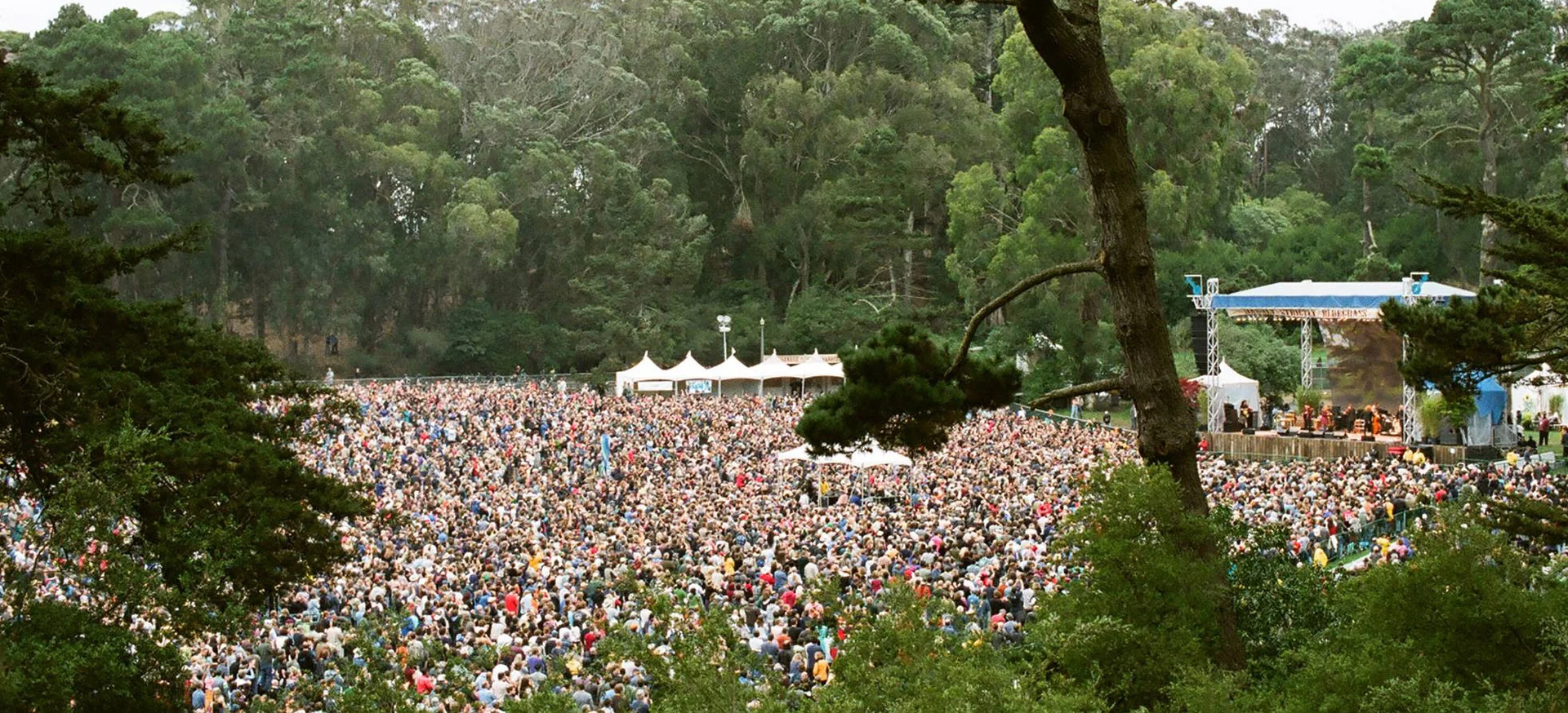 Hardly Strictly Bluegrass 2026 logo