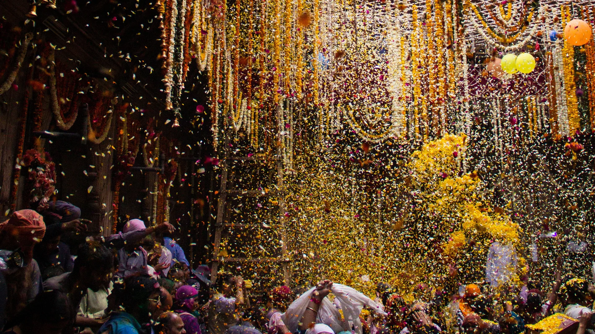 Vrindavan Phoolon Ki Holi 2026 logo